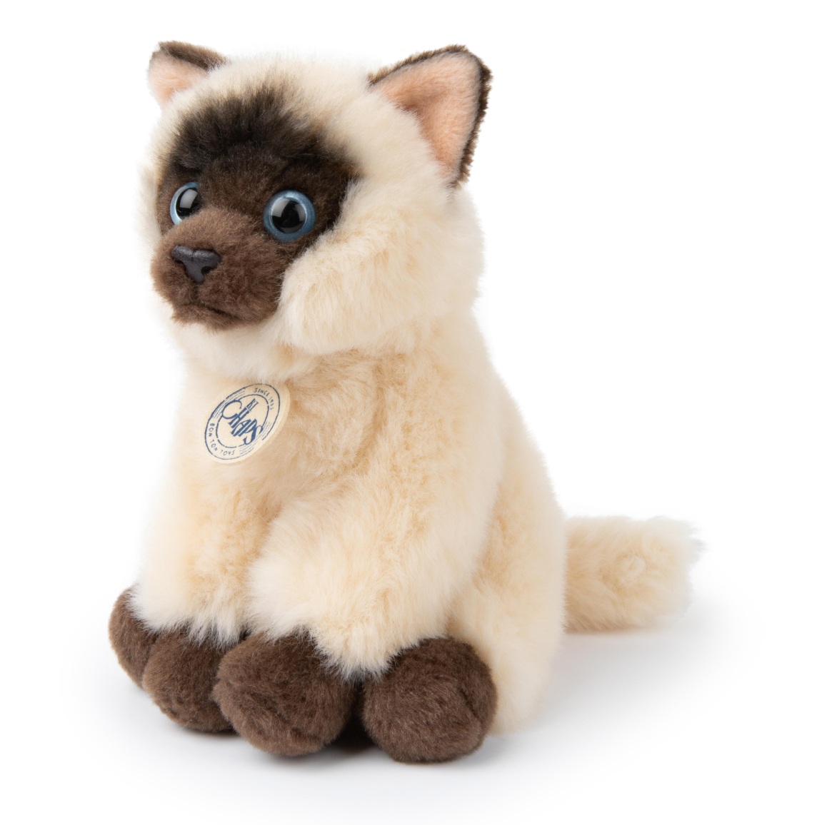 Eddie the Siamese