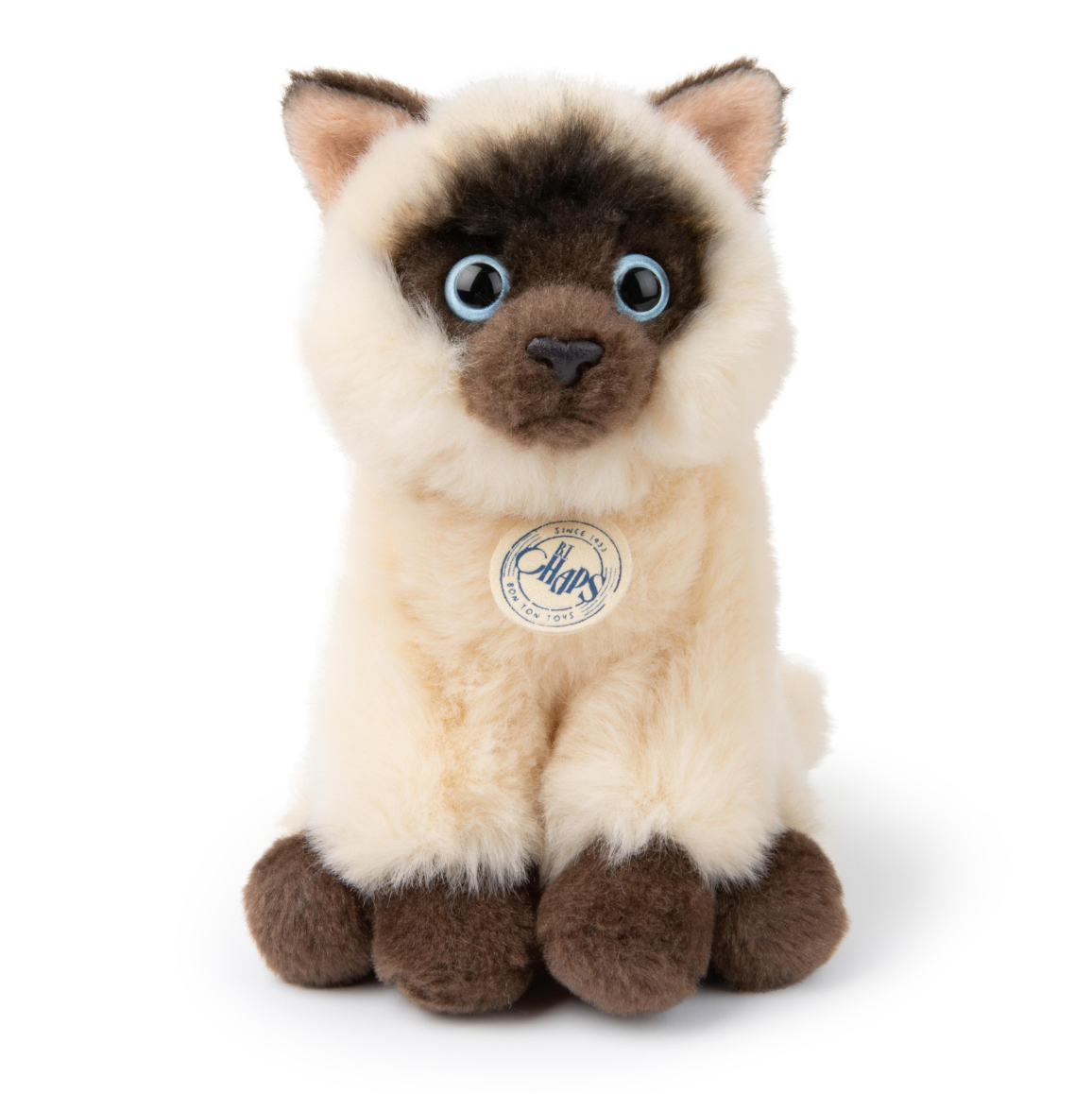 Eddie the Siamese