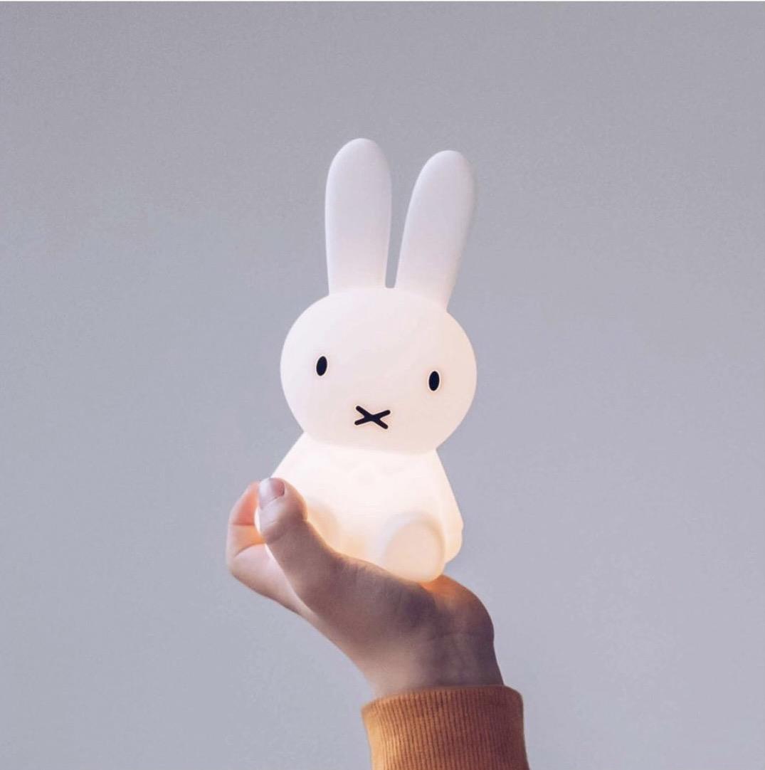 Miffy Bundle of Light